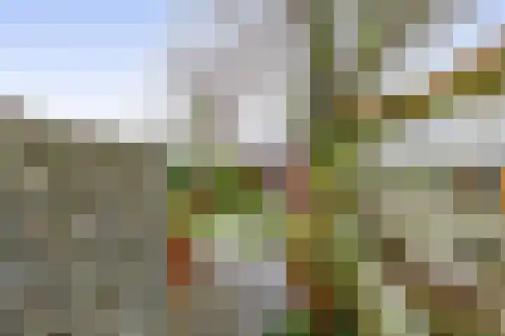 Delfweg 113 Noordwijkerhout thumbnail 36