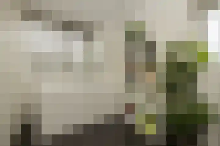 Delfweg 32 Noordwijkerhout thumbnail 20