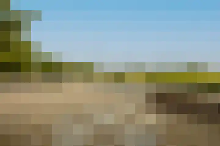 Delfweg 32 Noordwijkerhout thumbnail 28