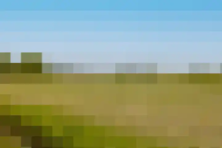 Delfweg 32 Noordwijkerhout thumbnail 29