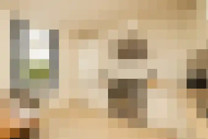 Delfweg 32 Noordwijkerhout thumbnail 5