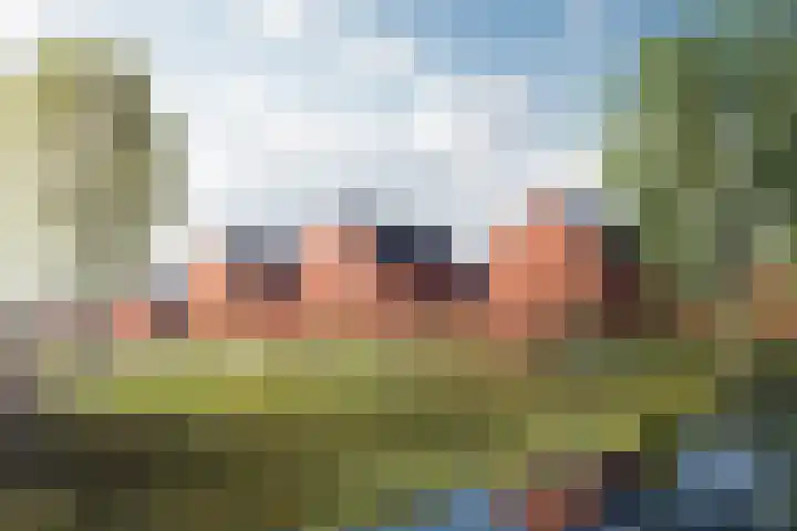 Delfzicht 104 Delfzijl thumbnail 8