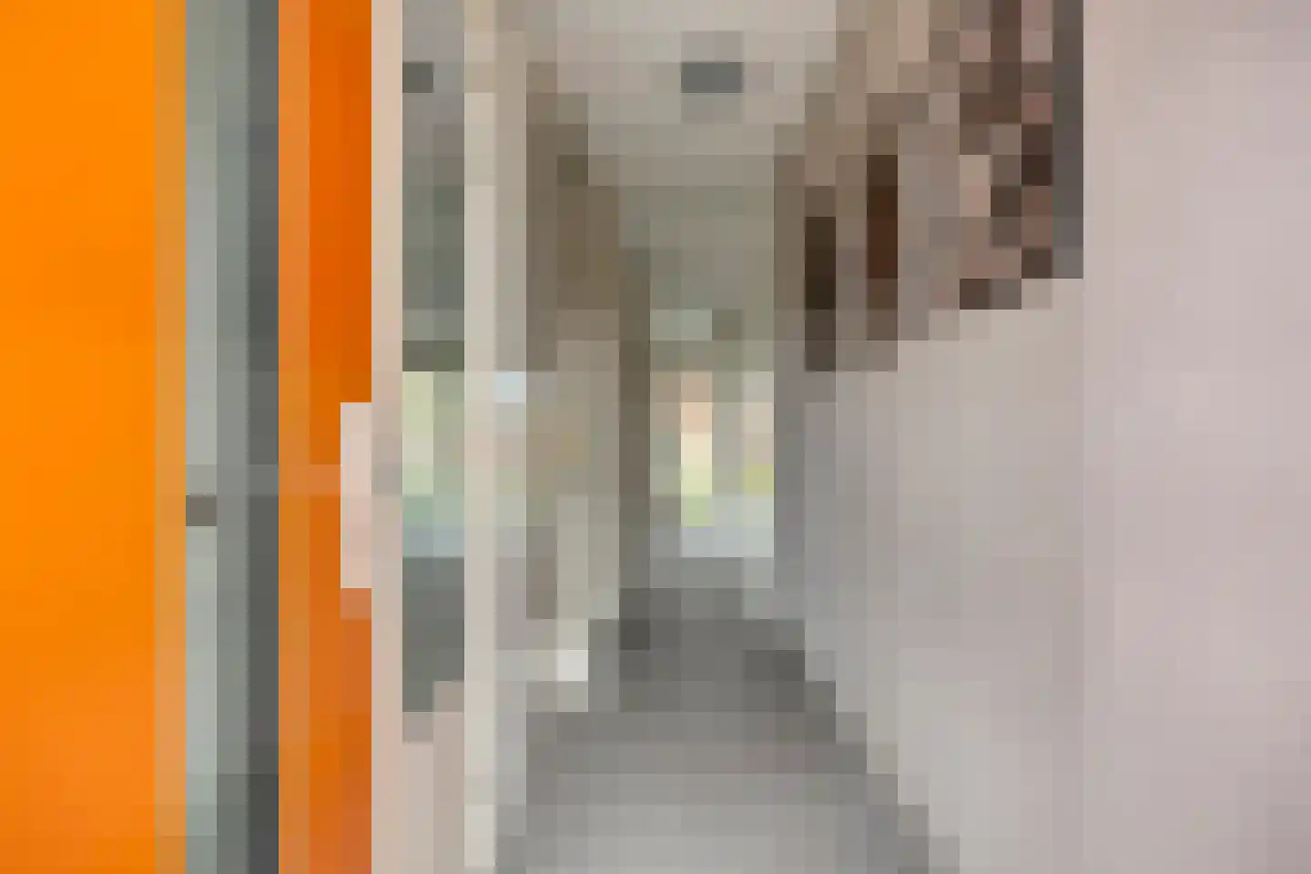 Delfzicht 19 Delfzijl thumbnail 8