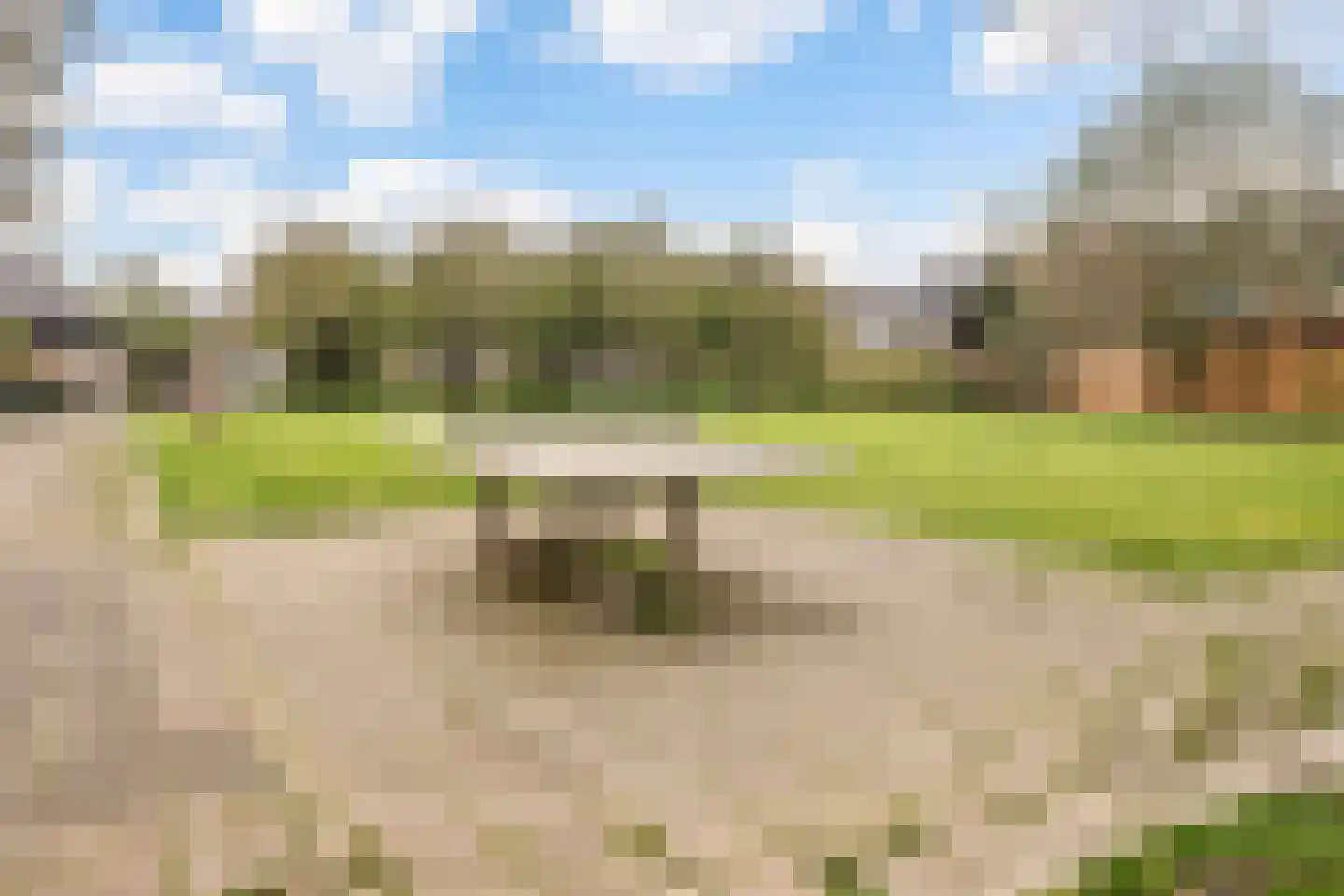 Delfzijlstraat 125 Arnhem thumbnail 20