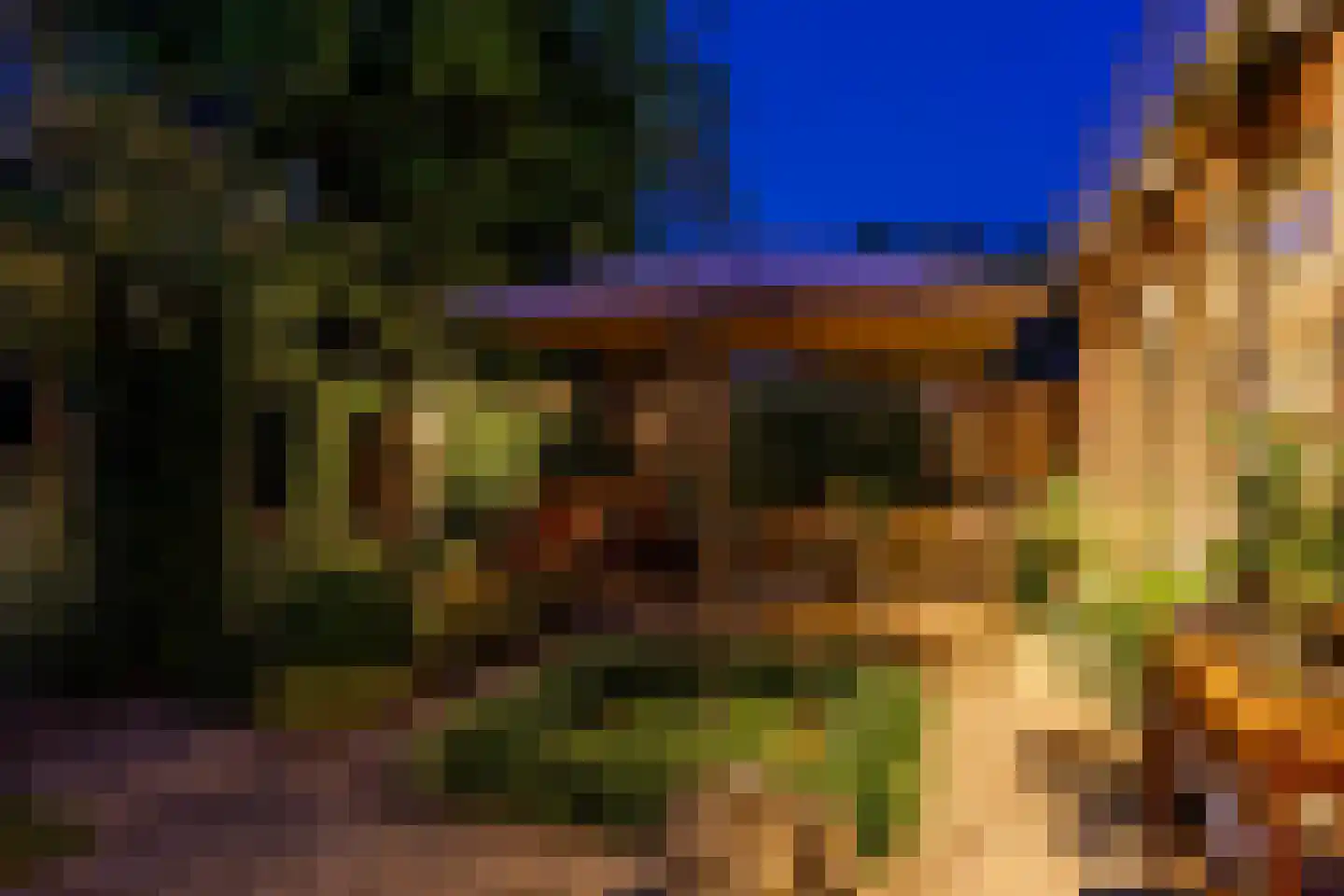 Delhezstraat 19 Hengelo thumbnail 35