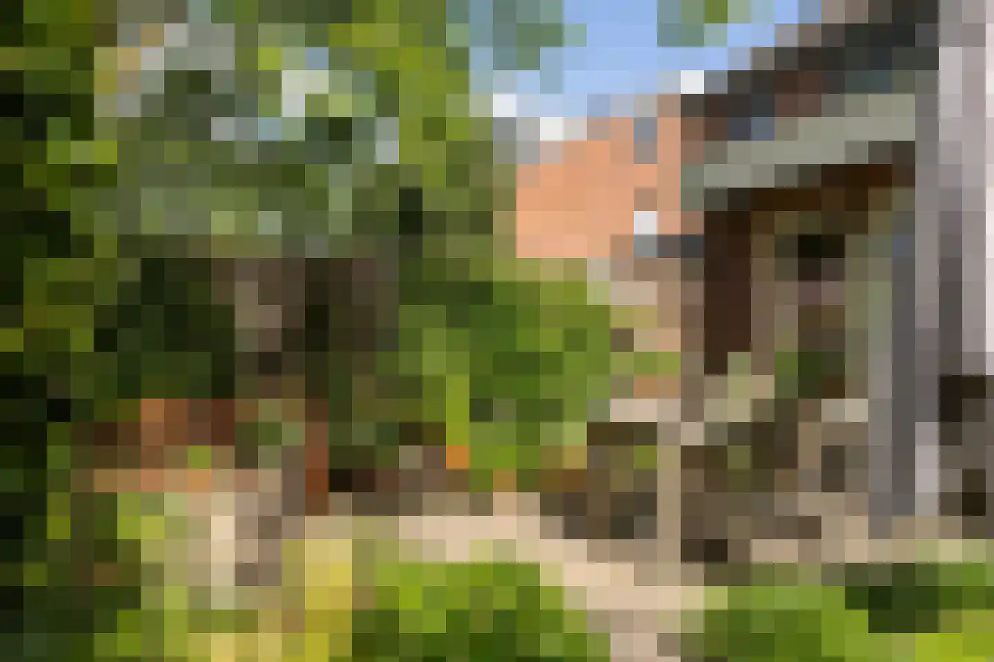 Delhezstraat 19 Hengelo thumbnail 36