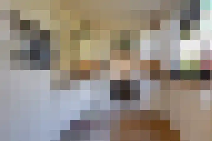 Delhoevelaan 5 Rozendaal thumbnail 13