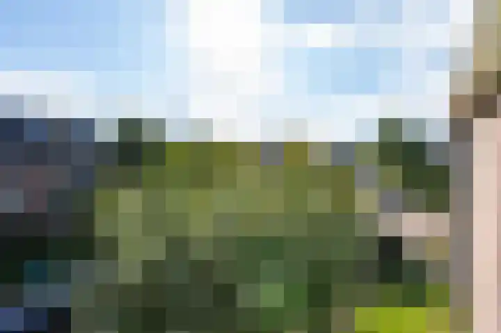 Delhoevelaan 5 Rozendaal thumbnail 18