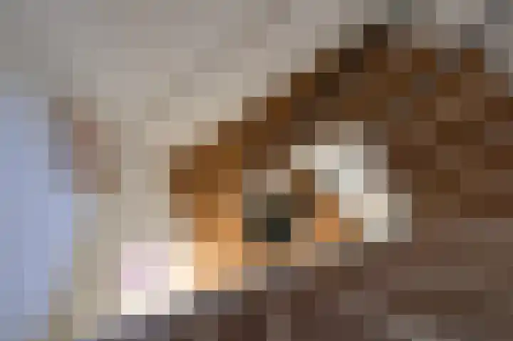 Delhoevelaan 5 Rozendaal thumbnail 21