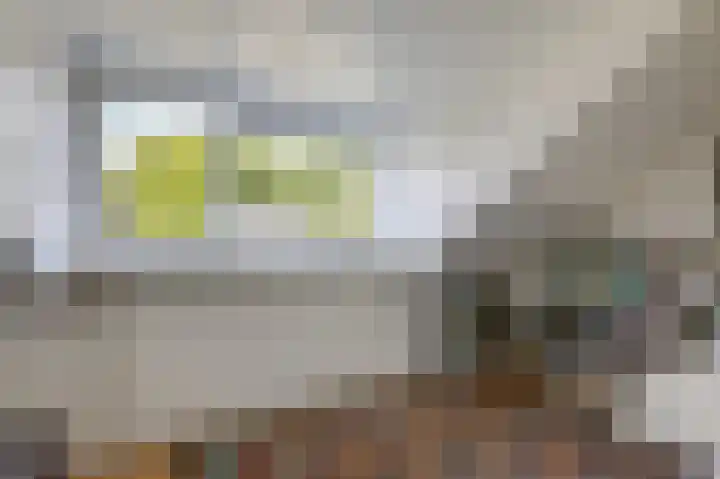 Delhoevelaan 5 Rozendaal thumbnail 24
