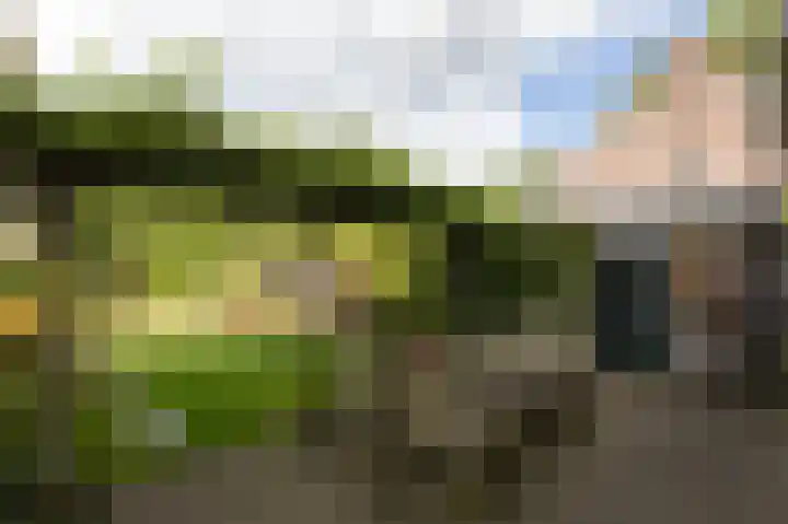 Delhoevelaan 5 Rozendaal thumbnail 30