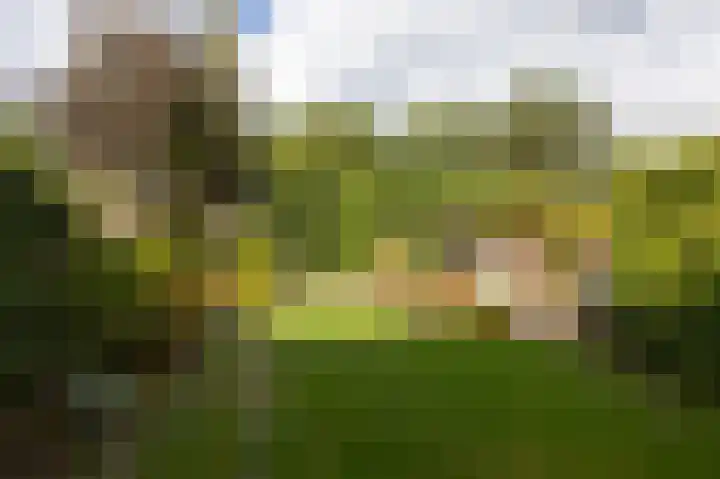 Delhoevelaan 5 Rozendaal thumbnail 31