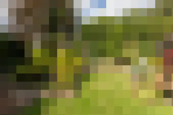 Delhoevelaan 5 Rozendaal thumbnail 32