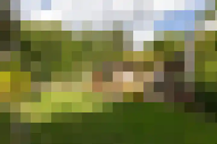 Delhoevelaan 5 Rozendaal thumbnail 33