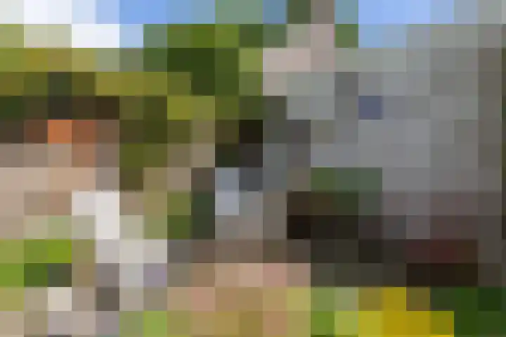 Delhoevelaan 5 Rozendaal thumbnail 34