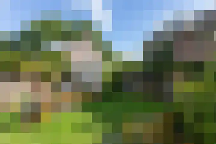 Delhoevelaan 5 Rozendaal thumbnail 35