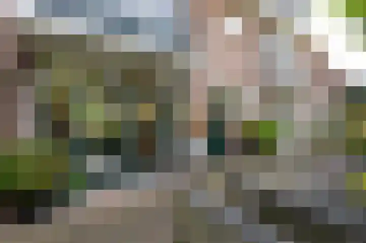 Delhoevelaan 5 Rozendaal thumbnail 37