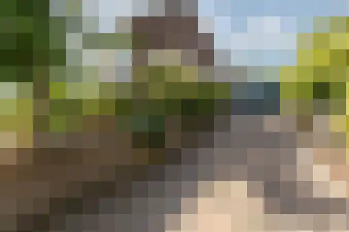 Delhoevelaan 5 Rozendaal thumbnail 38