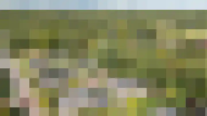 Delhoevelaan 5 Rozendaal thumbnail 4
