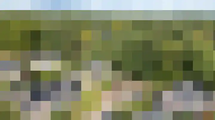 Delhoevelaan 5 Rozendaal thumbnail 40
