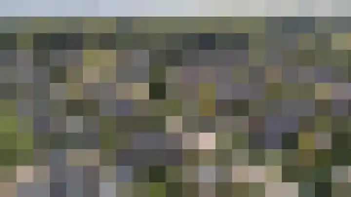 Delhoevelaan 5 Rozendaal thumbnail 41