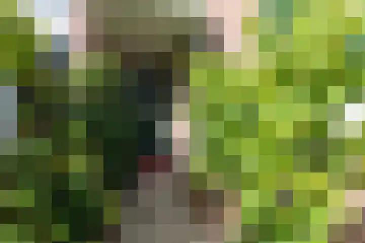 Delhoevelaan 5 Rozendaal thumbnail 5