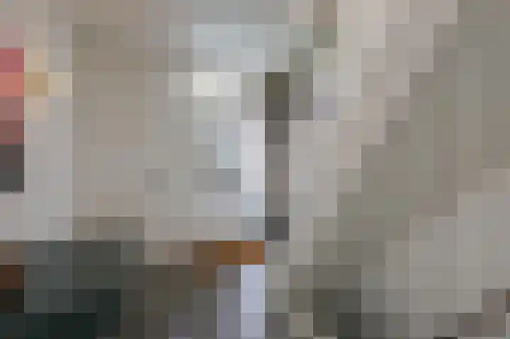 Delhoevelaan 5 Rozendaal thumbnail 6