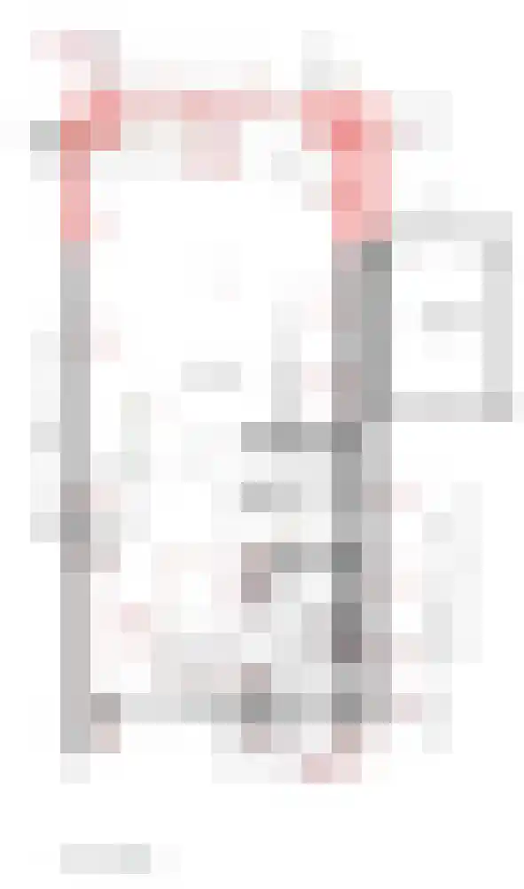 Delisakker 6 Veghel thumbnail 4