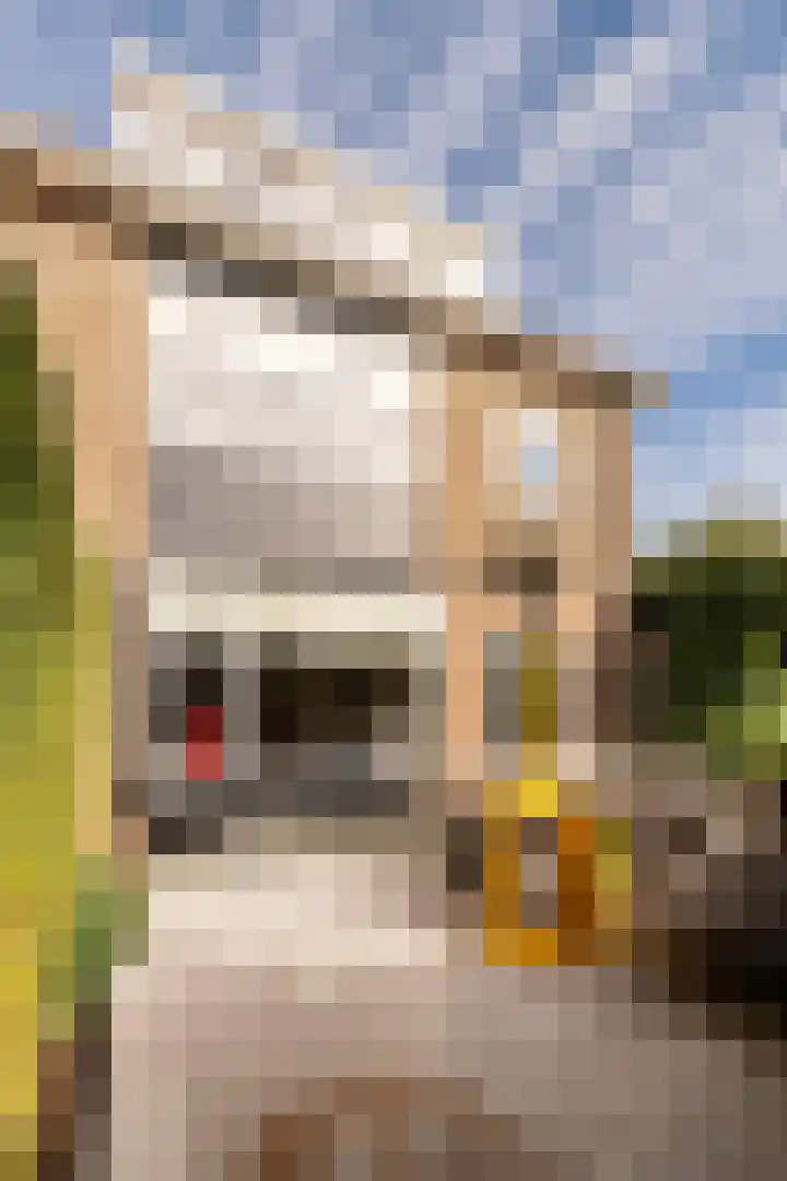 Delistraat 10 Nijmegen thumbnail 29