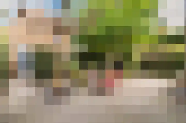 Delistraat 10 Nijmegen thumbnail 30