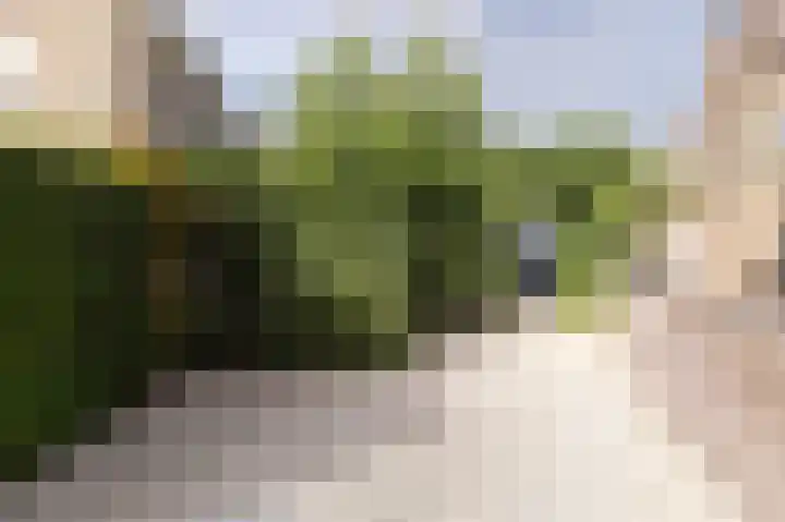 Delistraat 10 Nijmegen thumbnail 33