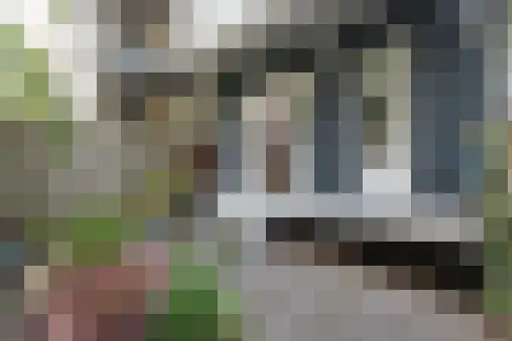 Delistraat 13 B Amsterdam thumbnail 13
