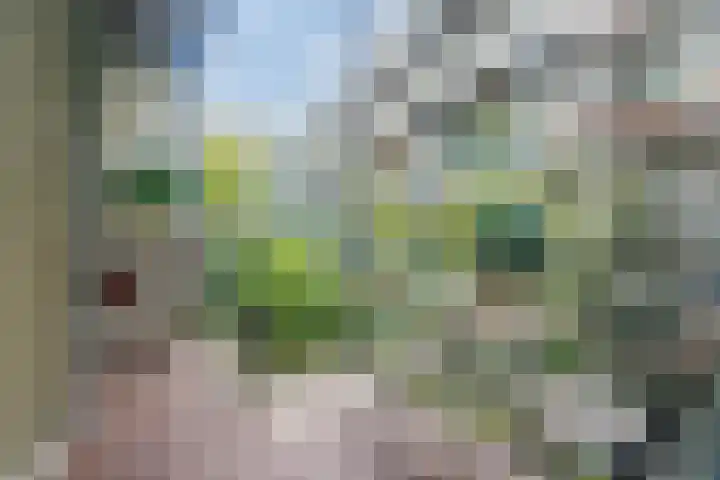 Delistraat 15 3 Amsterdam thumbnail 9