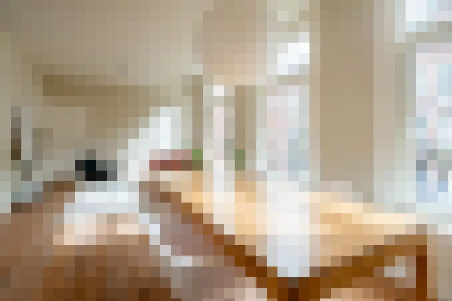 Delistraat 23 1 Amsterdam thumbnail 10