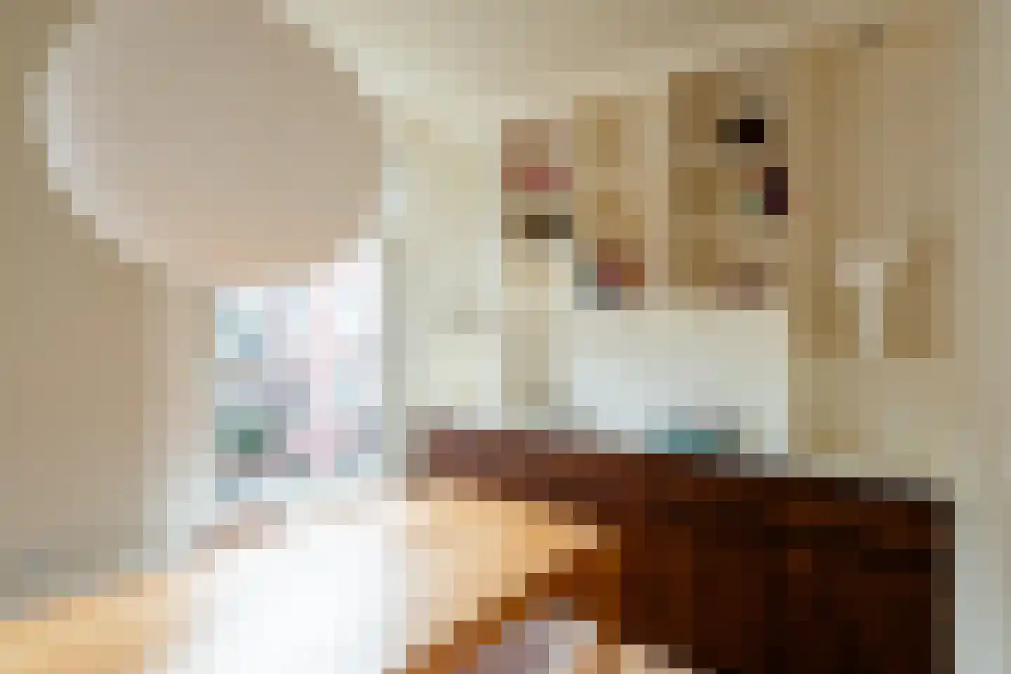 Delistraat 23 1 Amsterdam thumbnail 15