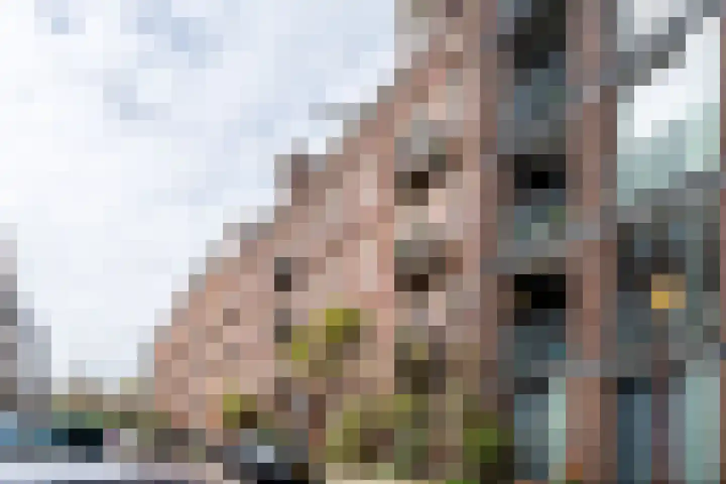 Delistraat 23 1 Amsterdam thumbnail 38