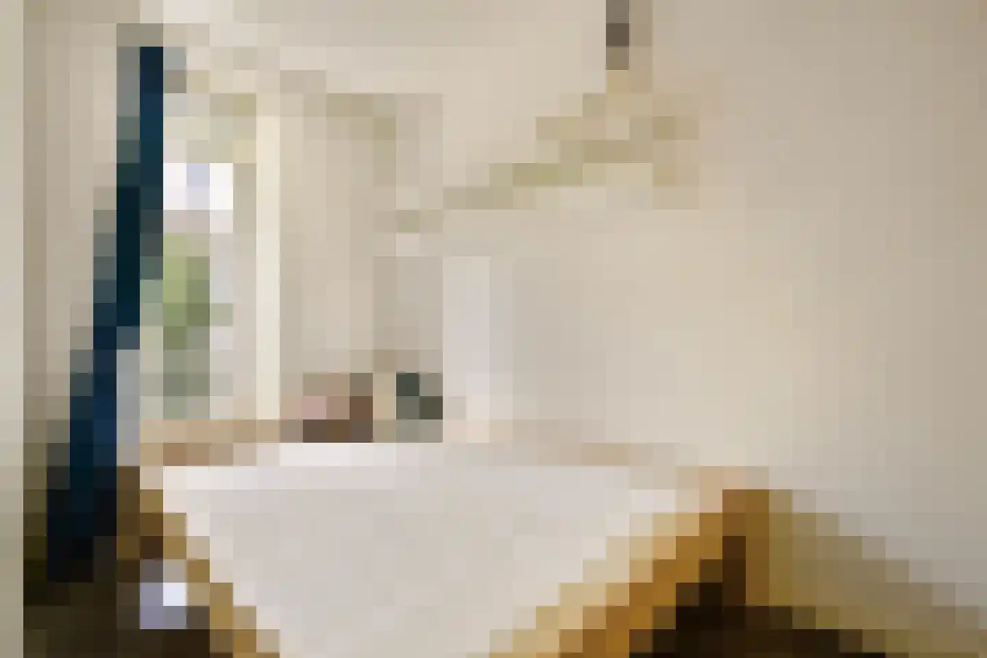 Delistraat 24 E Amsterdam thumbnail 13