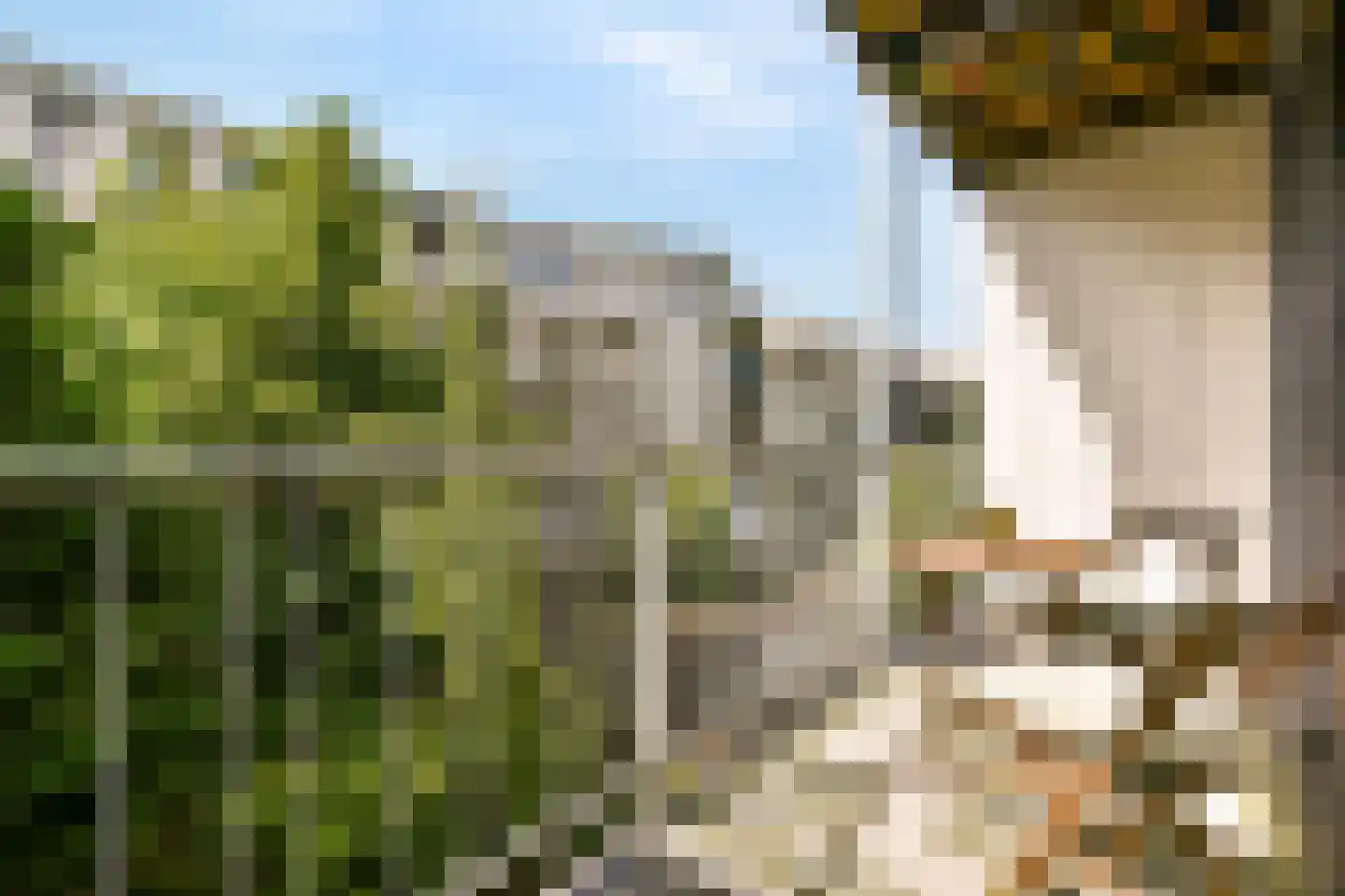 Delistraat 24 E Amsterdam thumbnail 4