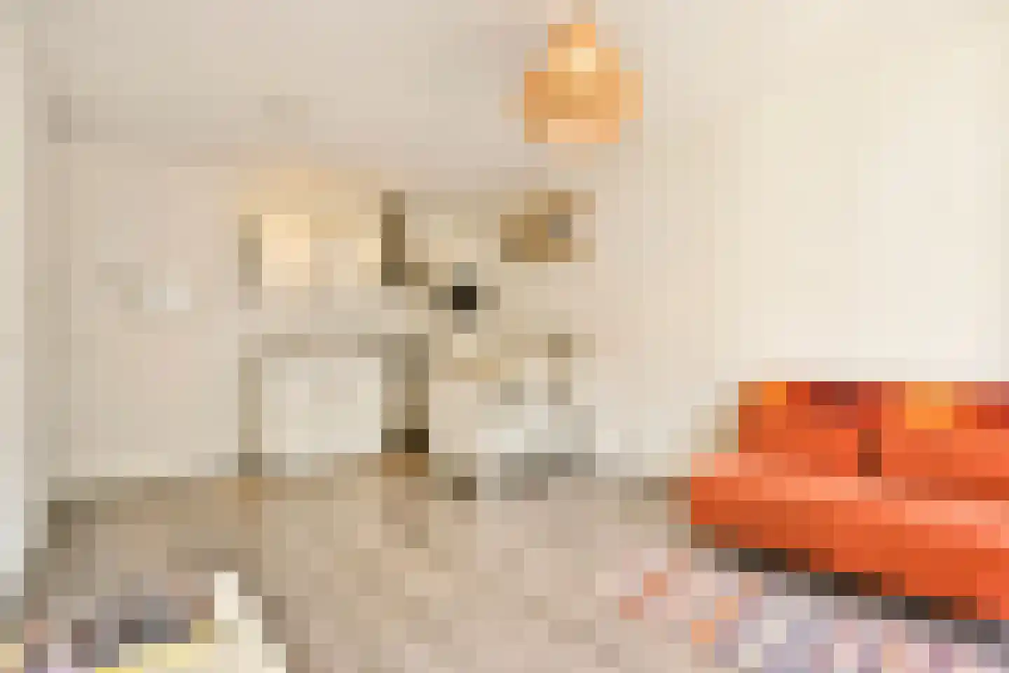 Delistraat 24 E Amsterdam thumbnail 6