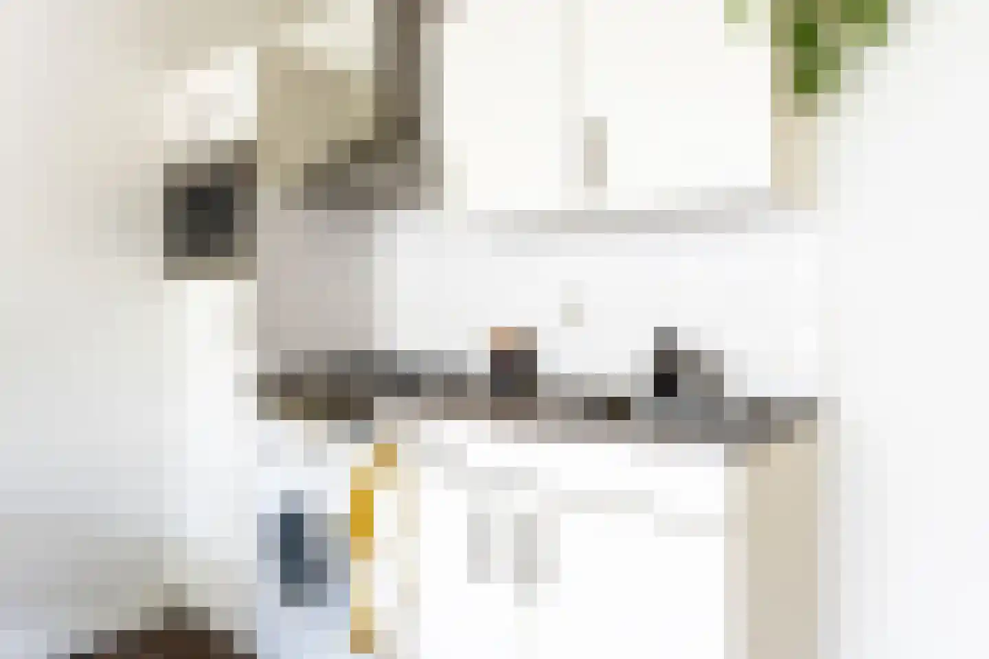 Delistraat 30 E Amsterdam thumbnail 12