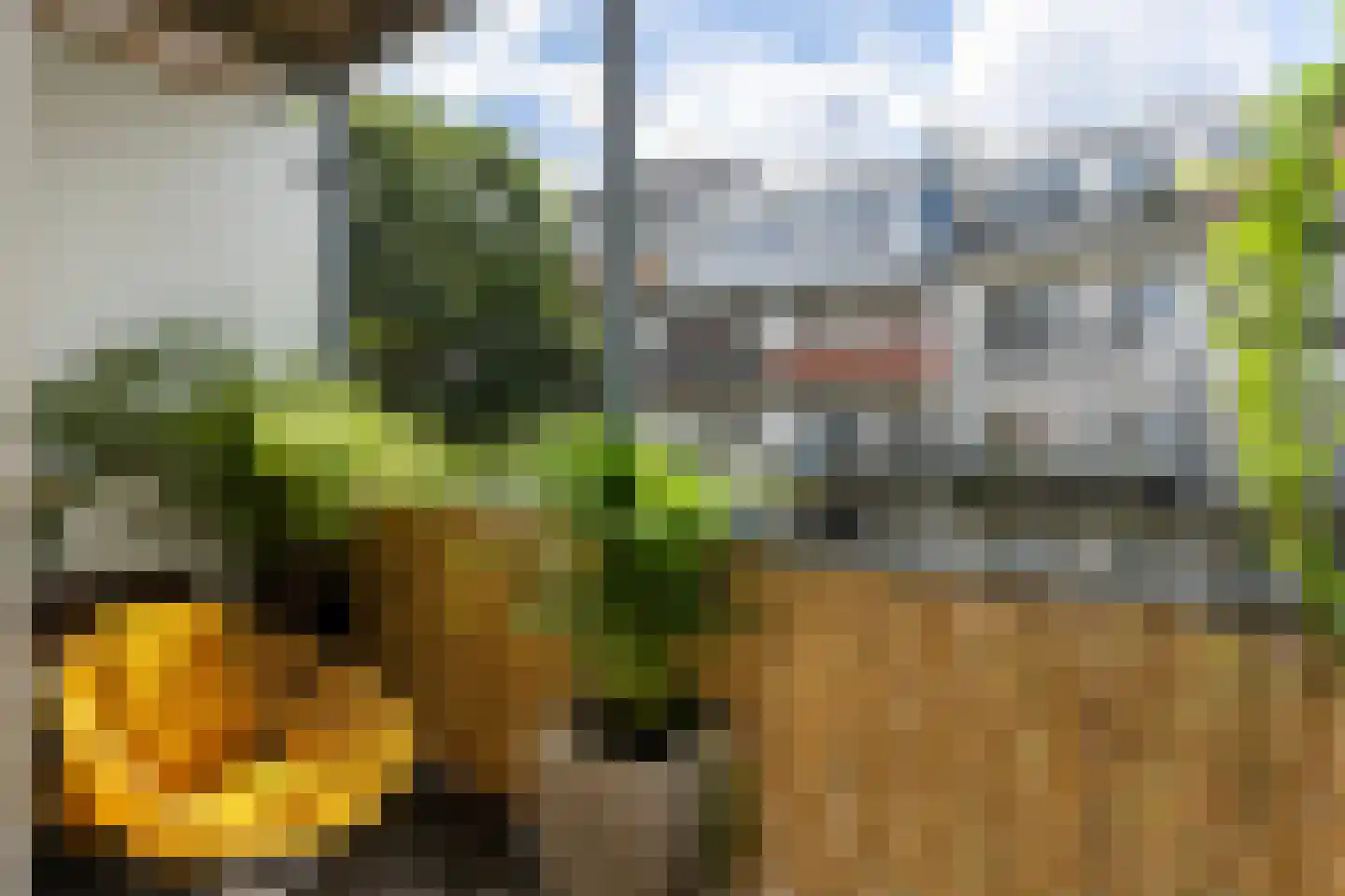 Delistraat 30 E Amsterdam thumbnail 9