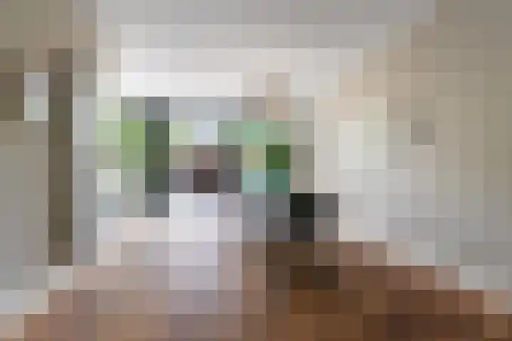 Delistraat 33 Nijmegen thumbnail 4