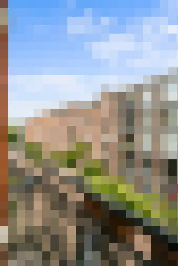Delistraat 34 D Amsterdam thumbnail 7