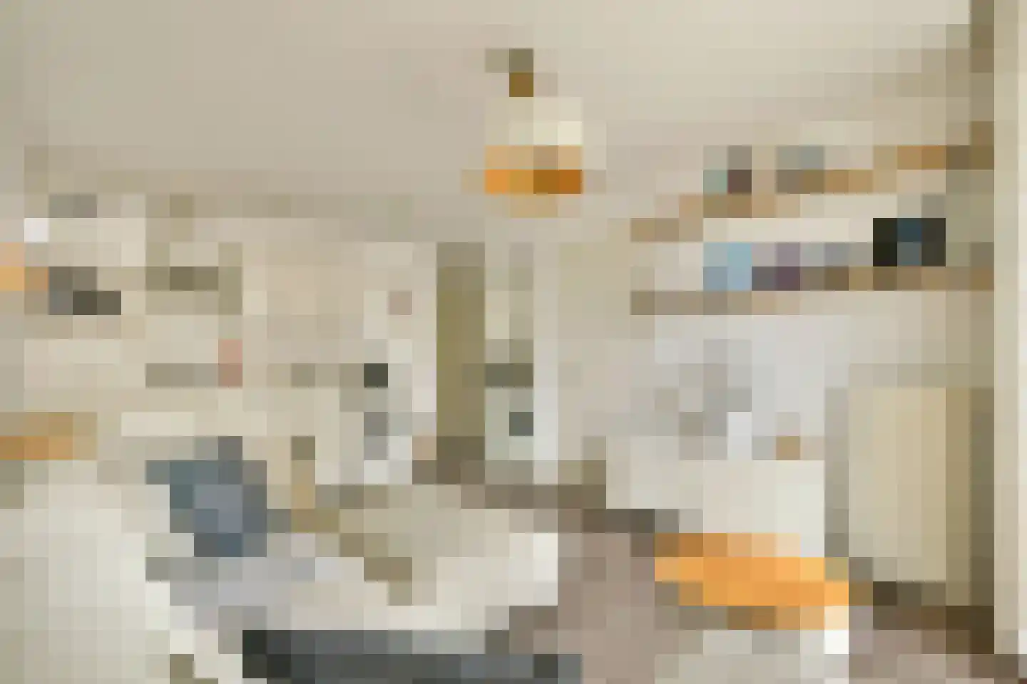 Delistraat 36 G Amsterdam thumbnail 5