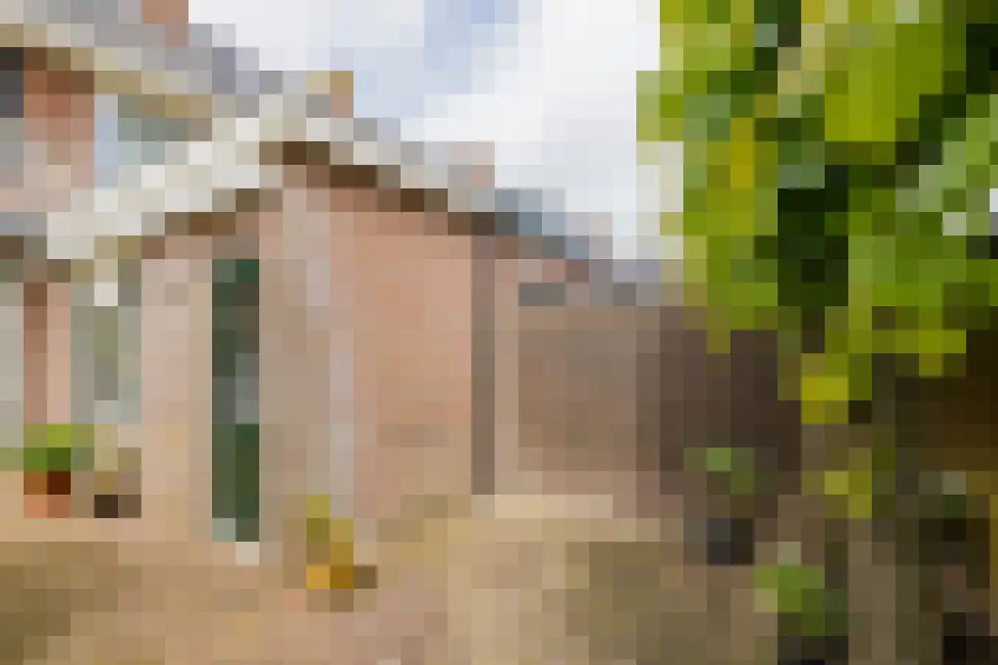 Delistraat 4 Haarlem thumbnail 24