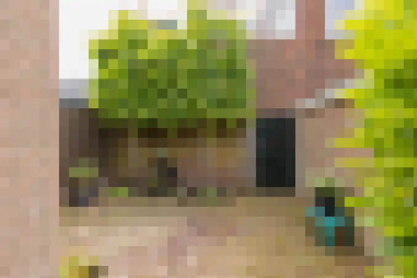 Delistraat 4 Haarlem thumbnail 27