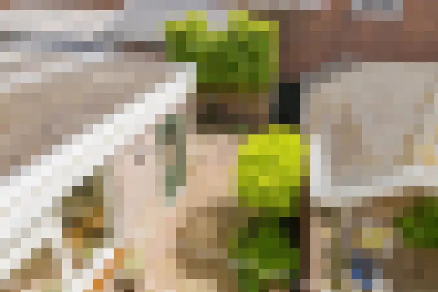 Delistraat 4 Haarlem thumbnail 43