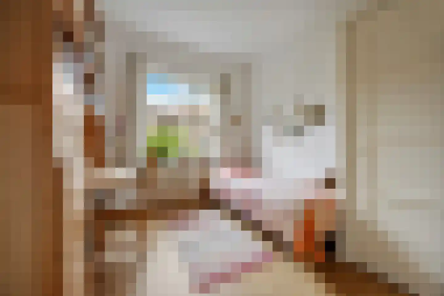 Delistraat 43 Nijmegen thumbnail 18