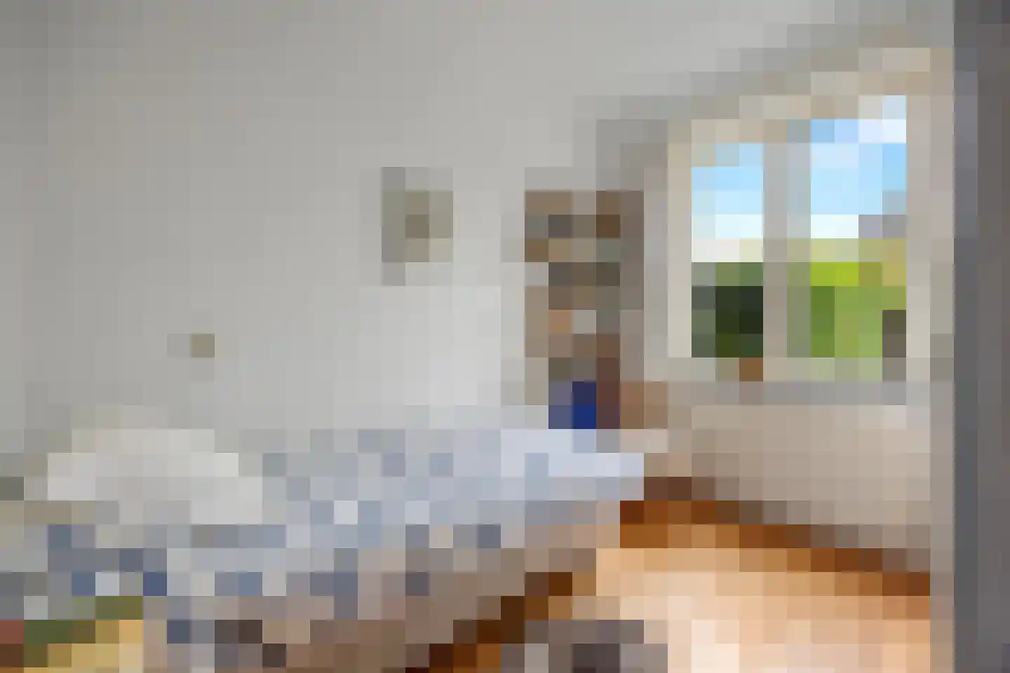 Delistraat 43 Nijmegen thumbnail 21
