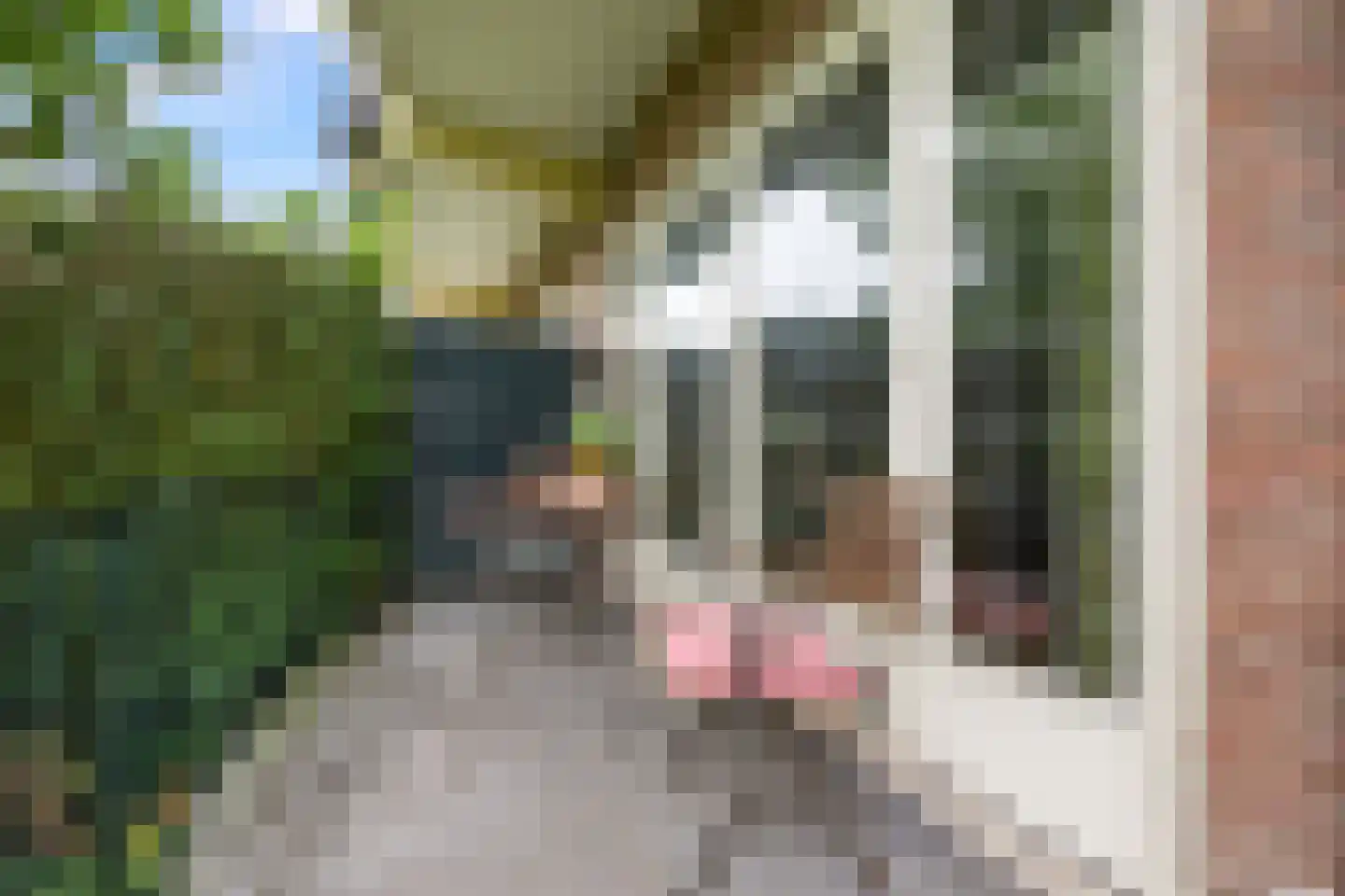 Delistraat 43 Nijmegen thumbnail 24